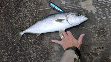 ポコポコドンッ！6月12日