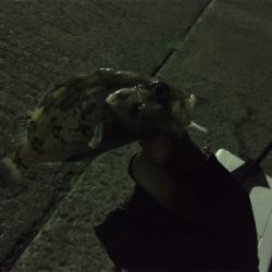 深夜の漁港にて