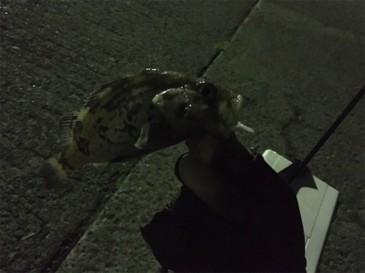 深夜の漁港にて