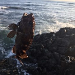 ロックフィッシュ