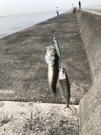 安定のサバゲー