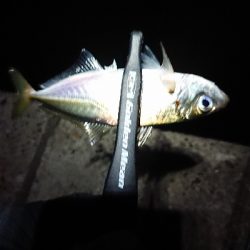 いつまで続く？