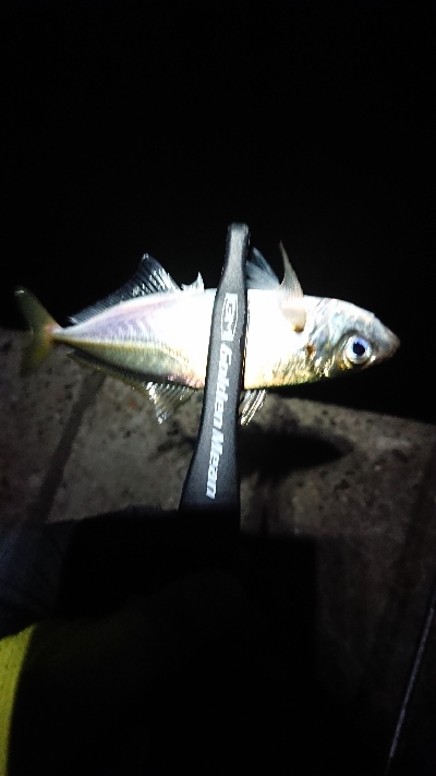 いつまで続く？