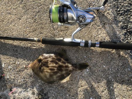 あれっ？なんかデカくない？