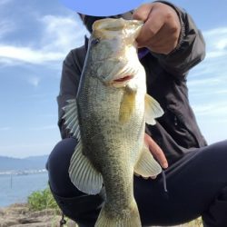 テキサス　カーリーテール