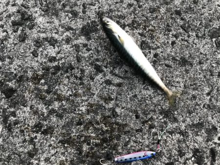 怒涛のサバゲー