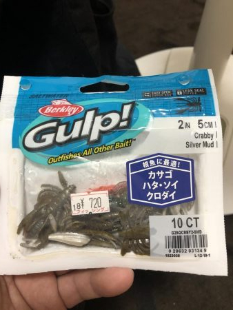 チニングでキビレ