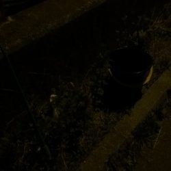 ウナギ釣りパート１２