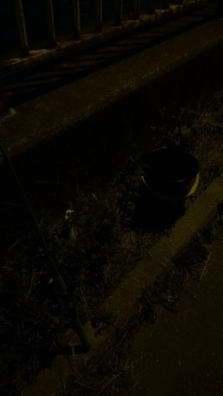 ウナギ釣りパート１２