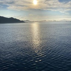 ショアジギング