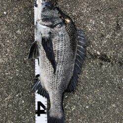 イチノ兄弟、釣果！