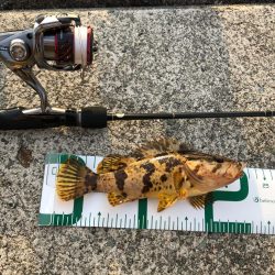 ショアジギング