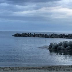 ローケーション最高