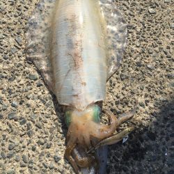 宮津西部〜丹後2キロ連発！！