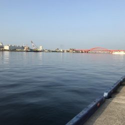 サバが湧いて…。