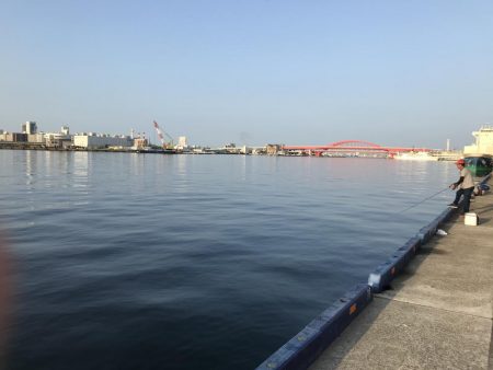 サバが湧いて…。