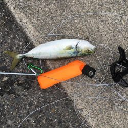 ストリンガーを使ってみた