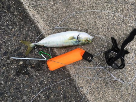 ストリンガーを使ってみた