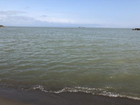 初ヒラメゲット