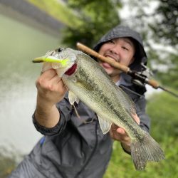 ジョインテットクローな生活。