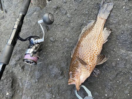 仕事終わりの釣行