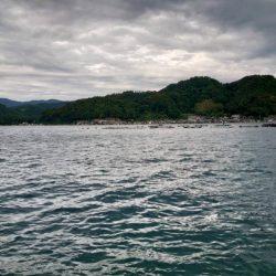 強風でもガシラ連発