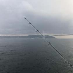 夕立、アジは渋い