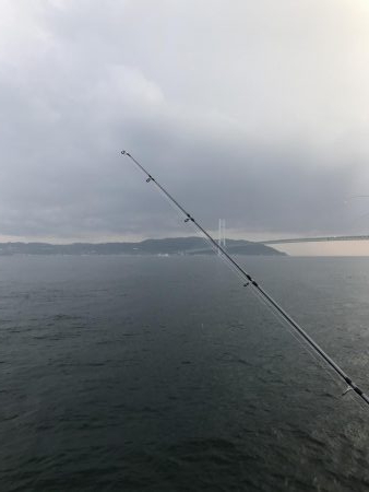 夕立、アジは渋い