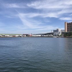 キス食べたくて