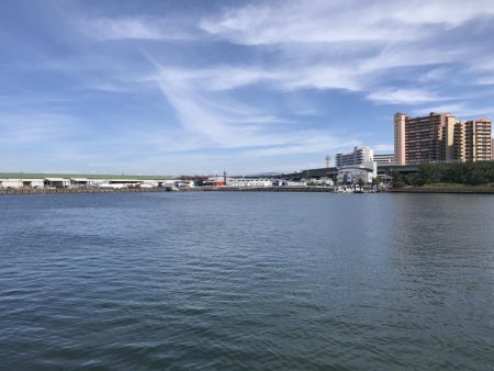 キス食べたくて