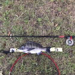 意外にものイガイで初ヒット