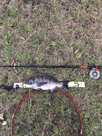 意外にものイガイで初ヒット