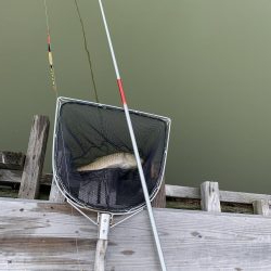 加西釣り池センター