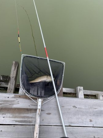 加西釣り池センター