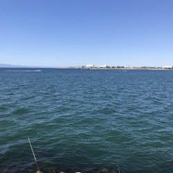 粘ってやっと一匹