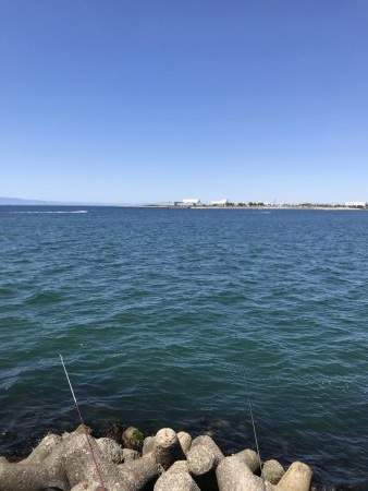 粘ってやっと一匹