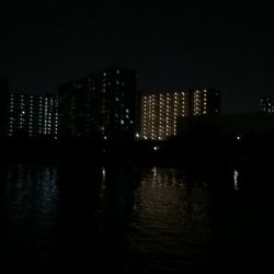 淀川のウナギ釣りパート8