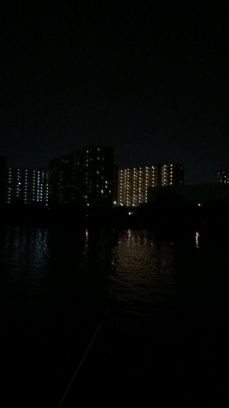 淀川のウナギ釣りパート8