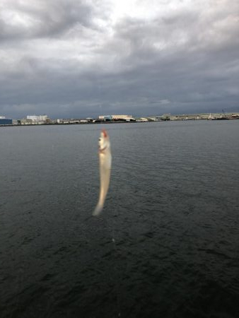 雨後はやっぱり渋かった