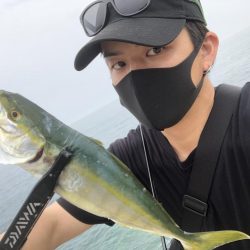 今日の朝一ライトゲームの釣果