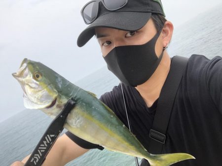 今日の朝一ライトゲームの釣果