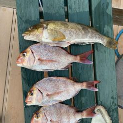 タイラバ渋かった