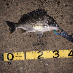 雨上がりのウキ釣り