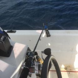 大アジ狙い。五目釣り