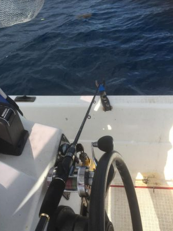 大アジ狙い。五目釣り