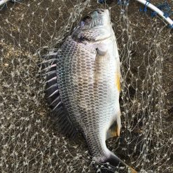 落とし込み　スライダー