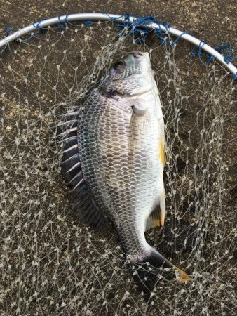 落とし込み　スライダー