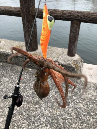 オクトパッシング