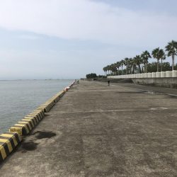 ヘチ釣りプラクティス