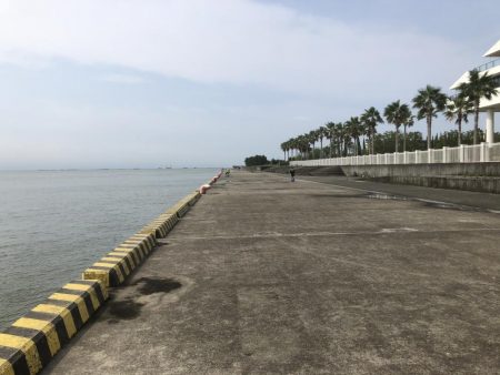 ヘチ釣りプラクティス